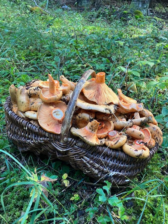 Gite Le Pelens Saint-Martin-dʼEntraunes Zewnętrze zdjęcie
