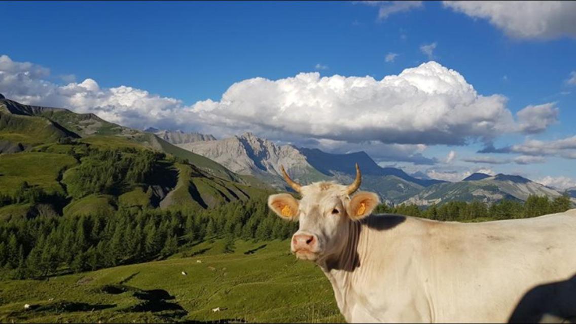 Gite Le Pelens Saint-Martin-dʼEntraunes Zewnętrze zdjęcie